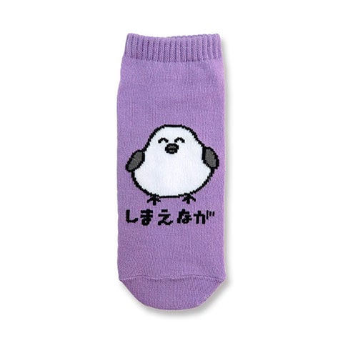 ANKLE LADIES しまえながさん|レディース|×SOCKS -ソックス-