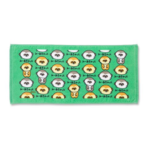TOWEL みーあきゃっとさん|新商品！