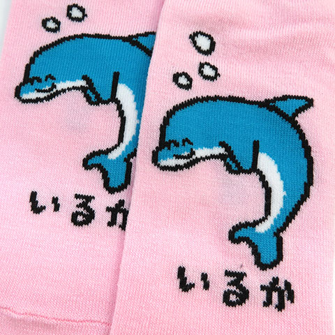 おえかきさん くつした いるかさん