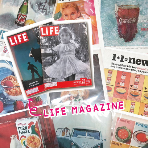 LIFE MAGAZINE PAPER -ライフマガジンペーパー- #22 | すべての商品