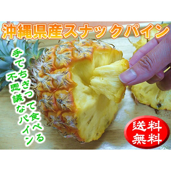 ���츩�������ʥå��ѥ���2�̥��å�