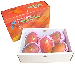 沖縄産アップルマンゴー2kg販売｜沖縄情報市場