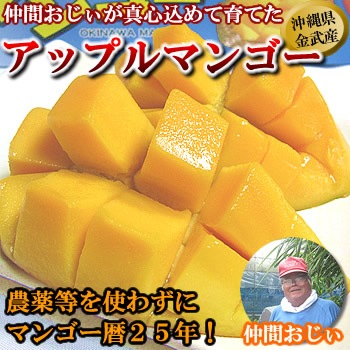 お中元】【送料無料】無農薬！沖縄産アップルマンゴー1kg[2～4玉]