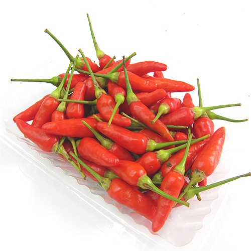 ���츩�� ����ɻ�