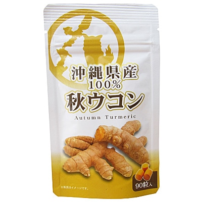 γ 90γ2(ܰ20ʬ) 츩  ͹ؤޤϥͥݥ