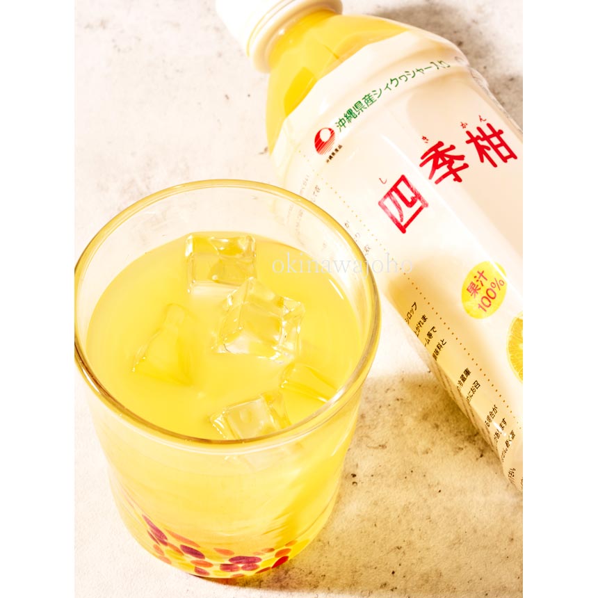 �͵������塼�� 500ml�ߣ��� ���컺���������������