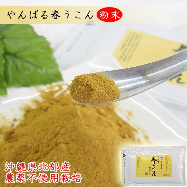 ���Ф�ե����� ʴ�������� 100g ���츩�������ե�������� ������Ʋ