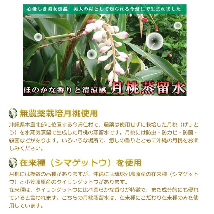 ������ ������α�� 100ml ̵ź��ŷ���ϡ��ֿ�