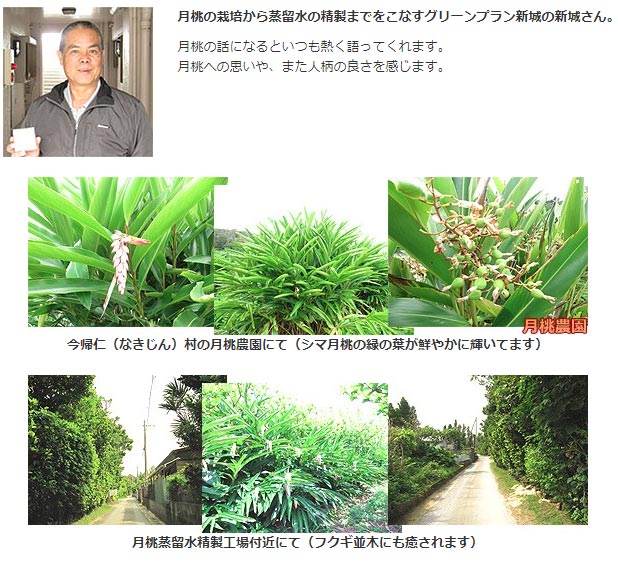 ������ ������α�� 100ml ̵ź��ŷ���ϡ��ֿ�