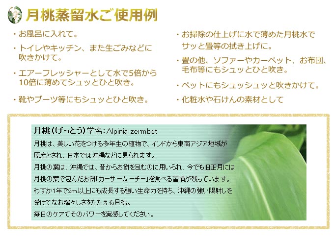 ������ ������α�� 100ml ̵ź��ŷ���ϡ��ֿ�