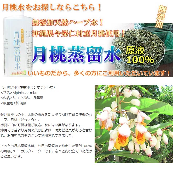 ������ ������α�� 100ml ̵ź��ŷ���ϡ��ֿ�