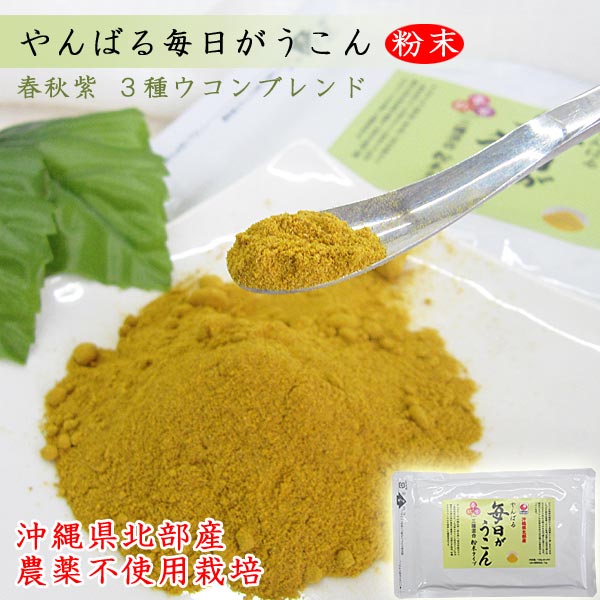 ���Ф� ������������ ʴ�� 100g�ʥ���ߥѥå������ ���컺3�復����֥��� ������Ʋ 