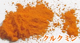 �������󥫥ץ��� 180������ߤ�����2�ĥ��å�(�ܰ���4�����6����ʬ) ���륯�ߥ��ͭ�򹯿��� ����̵��