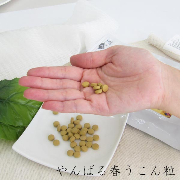 ���Ф�դ�����γ 500γ�����2�ĥ��å�(�ܰ�66��ʬ) ���컺 �����Ի��� ������Ʋ ��������