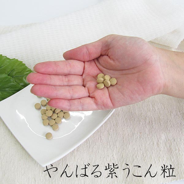 ���Ф� �礦���� γ������ 500γ�����3�� ���츩���祦������� ����̵��