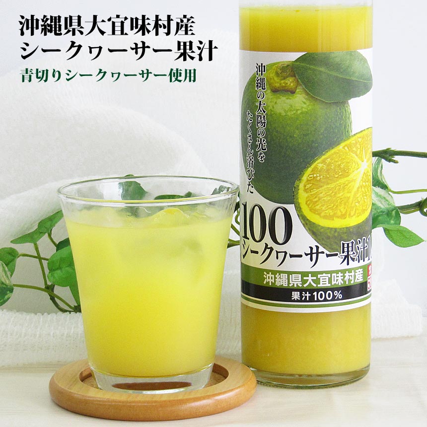 ������������̽�100 500ml��12�� ���츩�絹̣¼�����ڤꥷ�������������