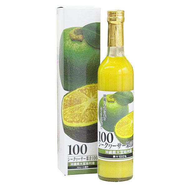 ������������̽�100 500ml��12�� ���츩�絹̣¼�����ڤꥷ�������������