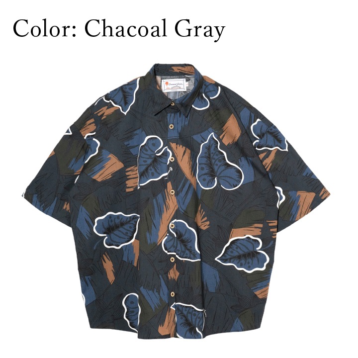 <JL0102336>����椷������ ��ǥ������쥮��顼�����С�����ġ�023��2�� Ⱦµ