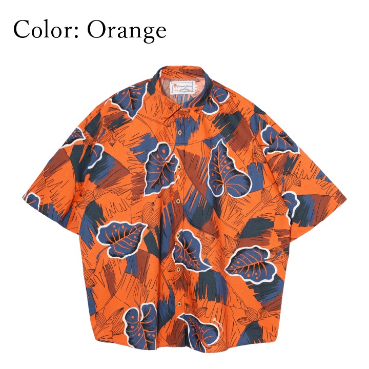 <JL0102336>����椷������ ��ǥ������쥮��顼�����С�����ġ�023��2�� Ⱦµ