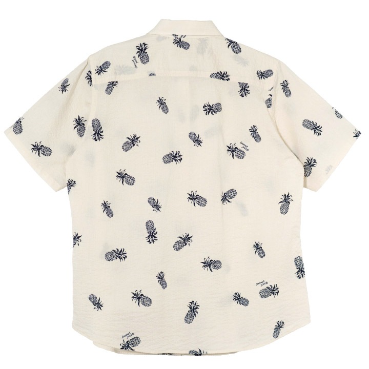 <JL0102736> 椷 ǥ쥮顼ġ027 IVORY  3  Ⱦµ