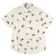 <JL0102736> 椷 ǥ쥮顼ġ027 IVORY  3  Ⱦµ