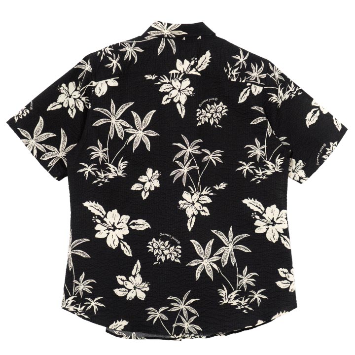 <JL0102836> ����椷������ ��ǥ������쥮��顼����ġ�028�� BLACK �� 3 �� Ⱦµ