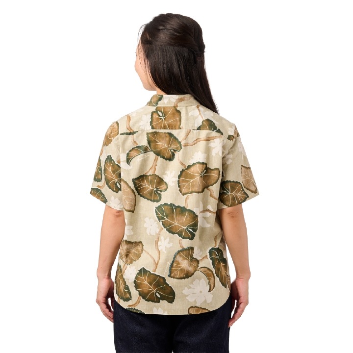 <JL0107337> ����椷������ ��ǥ������쥮��顼���顼����� BROWN �� 2 ��