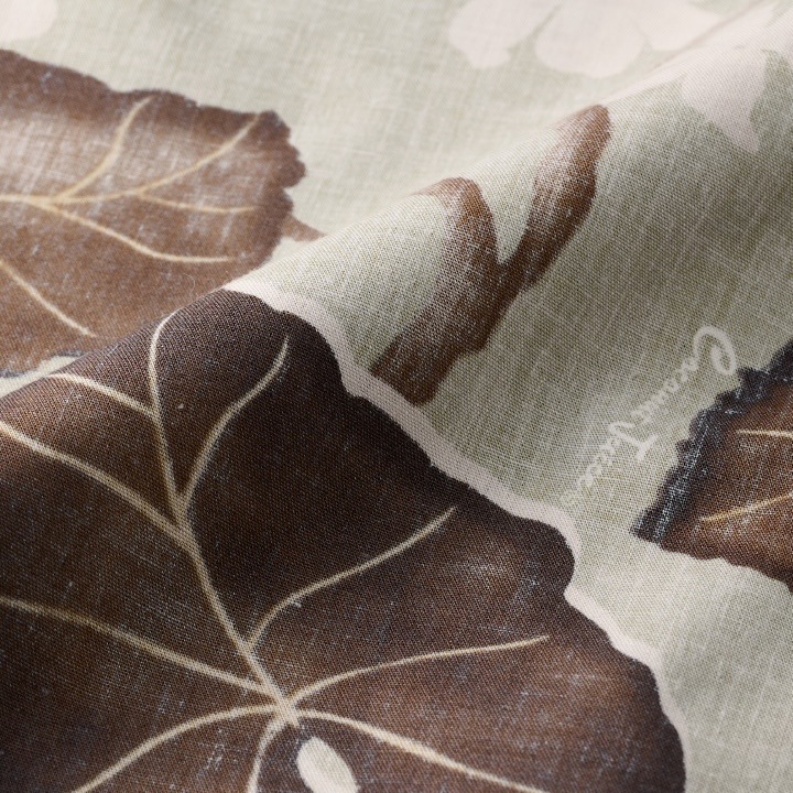 <JL0107337> ����椷������ ��ǥ������쥮��顼���顼����� CHOCOLATE �� 2 ��