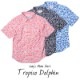 SALE/<J196662> 椷 ǥ Tropico Dolphin ȥԥɥե3 Ⱦµ