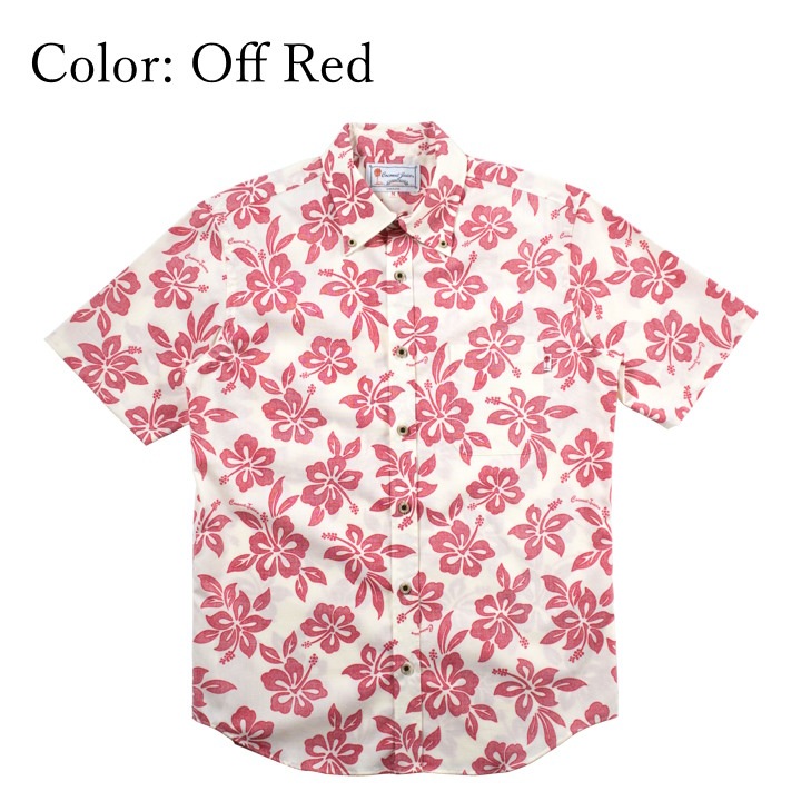 <JM0208035> 椷 󥺥ܥ󥷥080 4 Ⱦµ