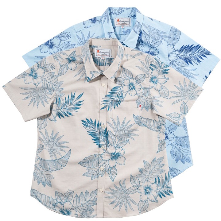 <JL0109735> ����椷������ ��ǥ������쥮��顼�����097 ��2�� Ⱦµ