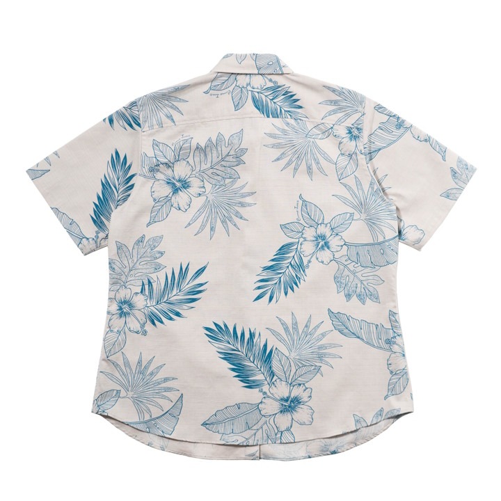 <JL0109735> ����椷������ ��ǥ������쥮��顼�����097 ��2�� Ⱦµ