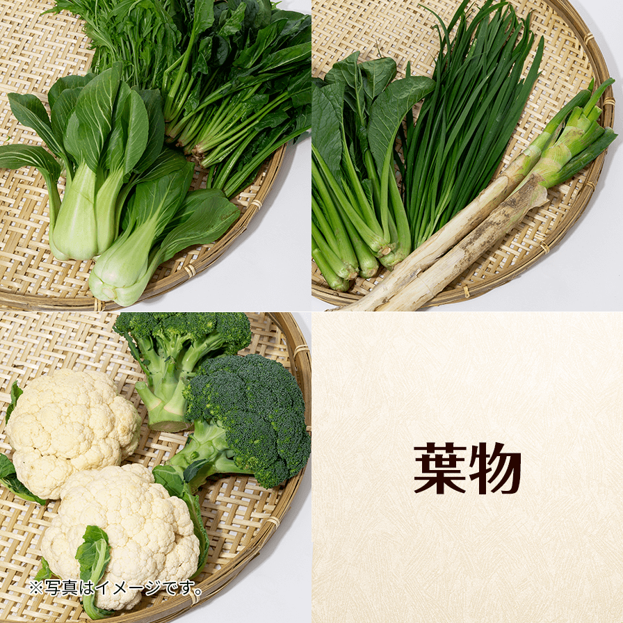 有機ハイサイセット(レギュラー　6～8品)毎月お届け　※沖縄県内￥2,600円（税/送料込）