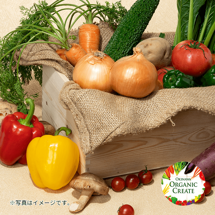 有機しかまちセット(特大　19～21品)毎週お届け　※沖縄県内￥5,600円（税/送料込）
