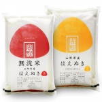 はえぬき 10kg (5kg×2袋) 山形県産 令和7年産