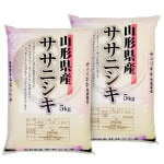 ササニシキ 10kg 山形県産 令和7年産