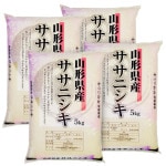 ササニシキ 20kg (5kg×4袋) 山形県産 令和7年産