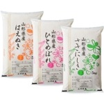 米 10kg 銘柄銘柄米5割入り (はえぬき/ひとめぼれ/ササニシキ) ハイクラスブレンド