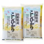 コシヒカリ 10kg (5kg×2袋) 山形県産 令和7年産