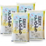 新米 コシヒカリ 20kg (5kg×4袋) 山形県産 令和8年産