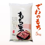 新米 令和8年産 でわのもち 5kg 送料無料 山形県産 もち米 餅米 国内産
