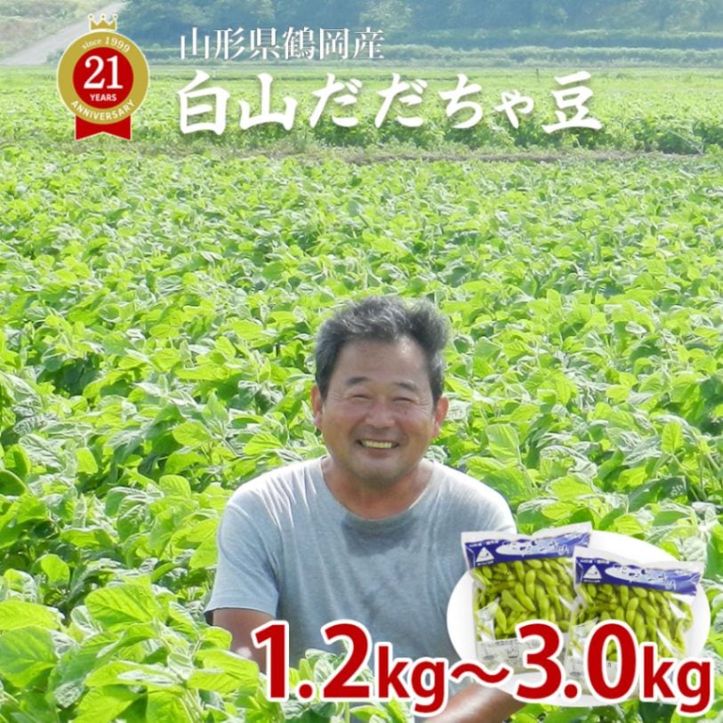 【8月上旬以降発送】 白山 だだちゃ豆 1.2kg～3.0kg 山形県鶴岡産 白山村産