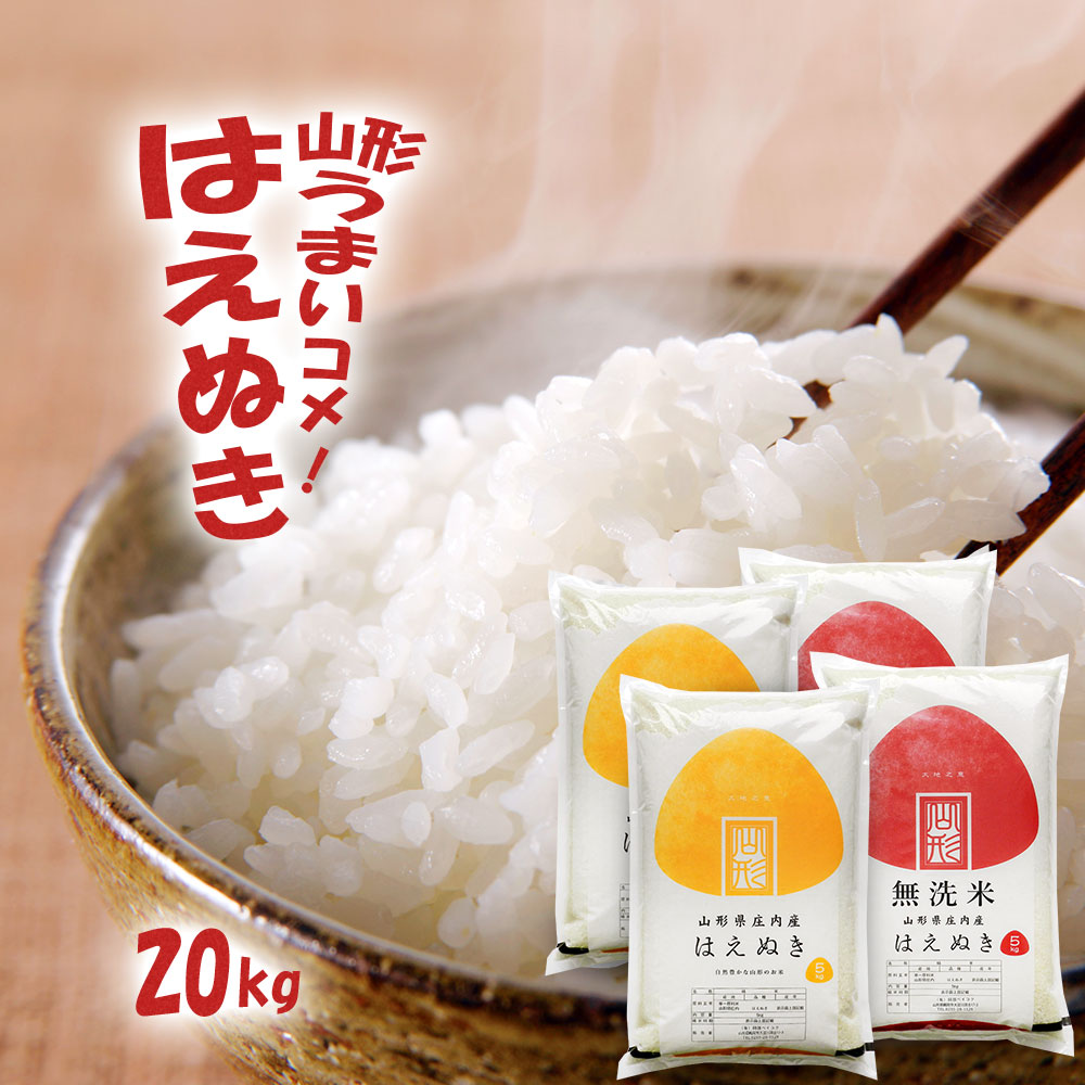 はえぬき 20kg (5kg×4袋) 山形県産 令和7年産