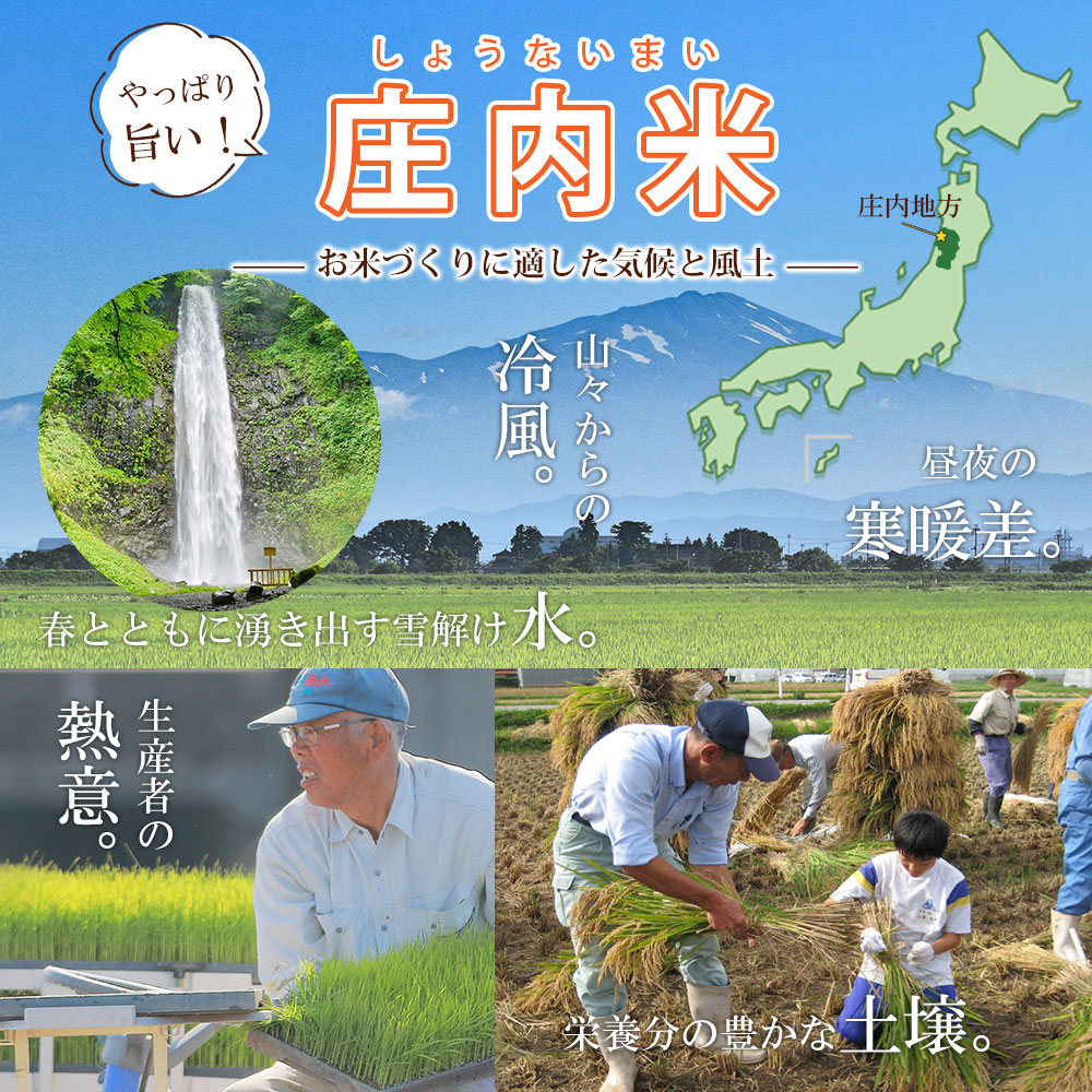 雪若丸 5kg 山形県産 令和6年産