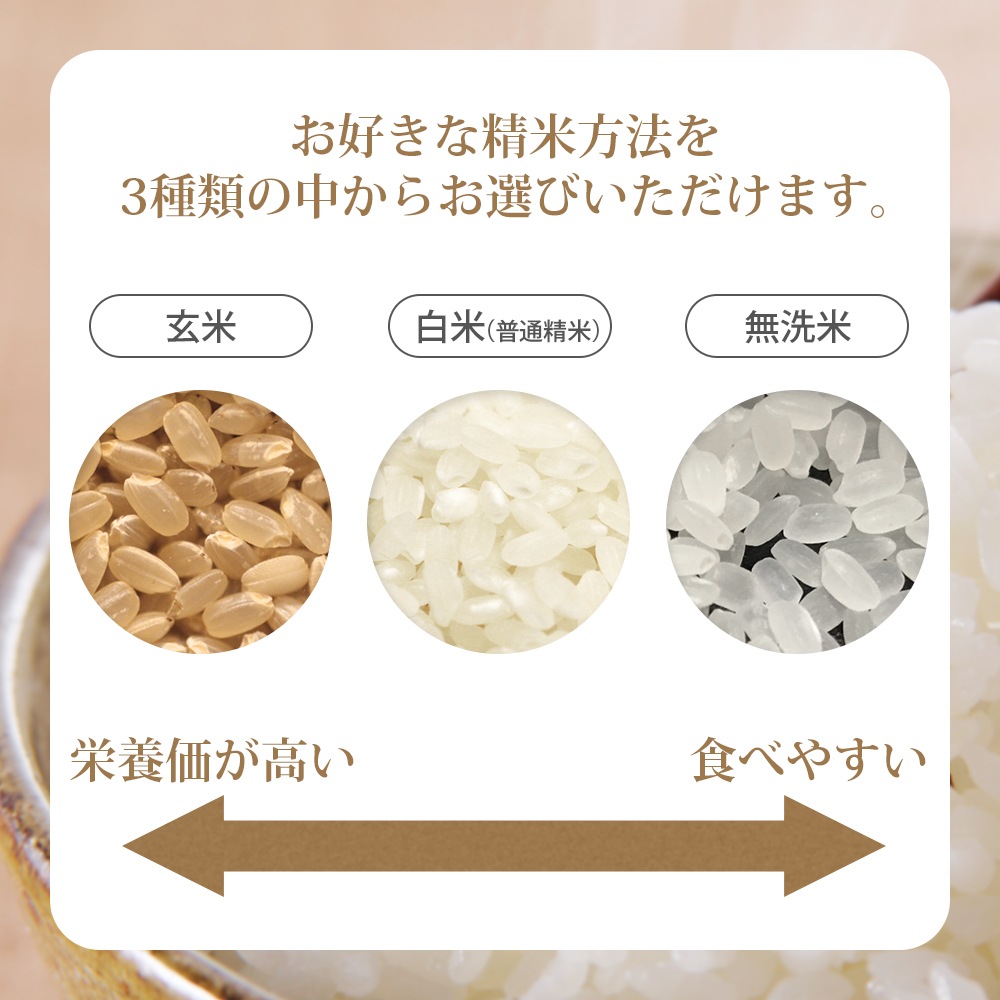 雪若丸 5kg 山形県産 令和6年産