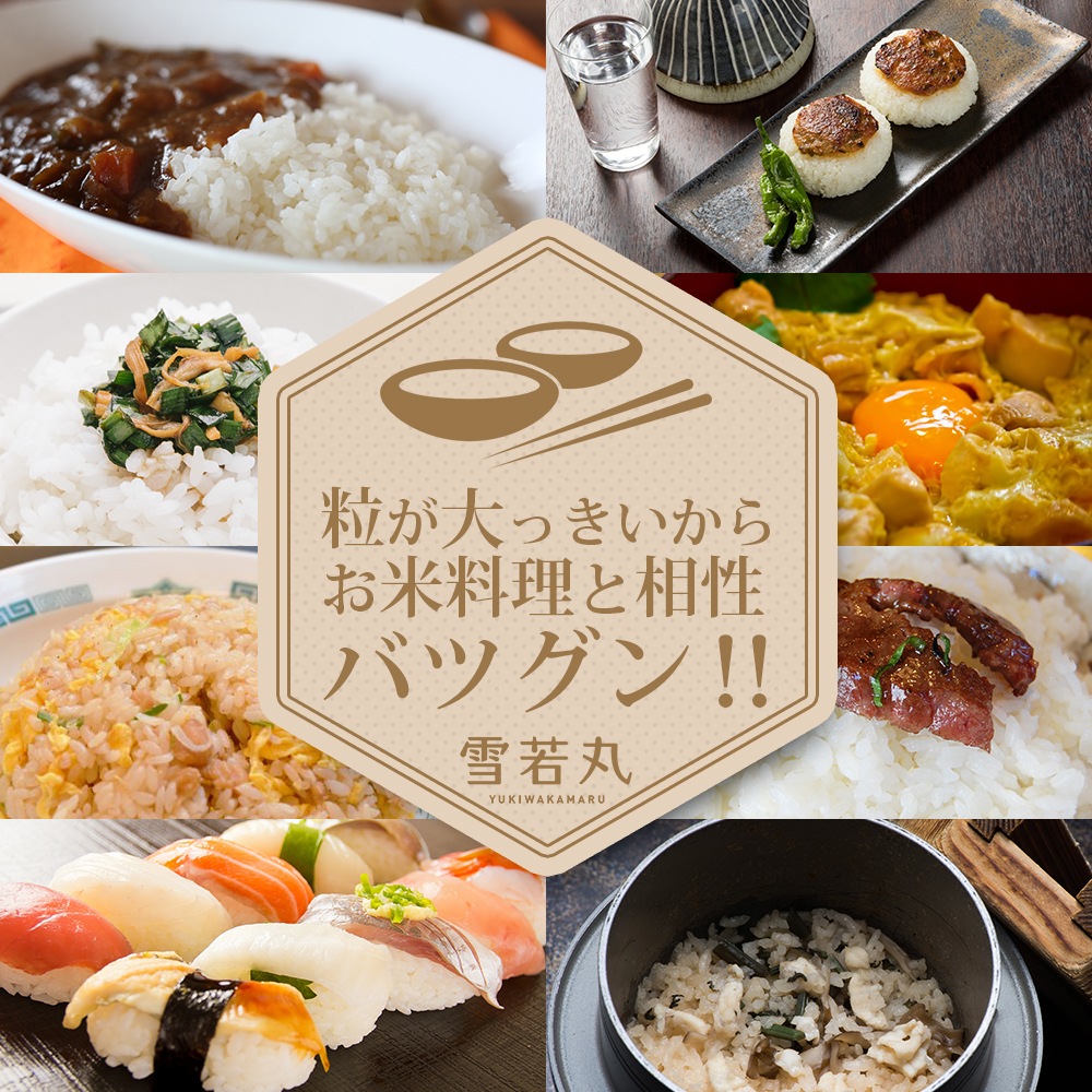 雪若丸 30kg (精米後約27kg) 山形県産 令和7年産