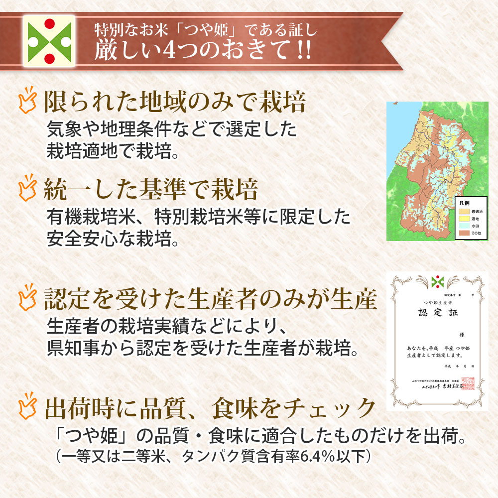 つや姫 5kg 山形県産 令和7年産