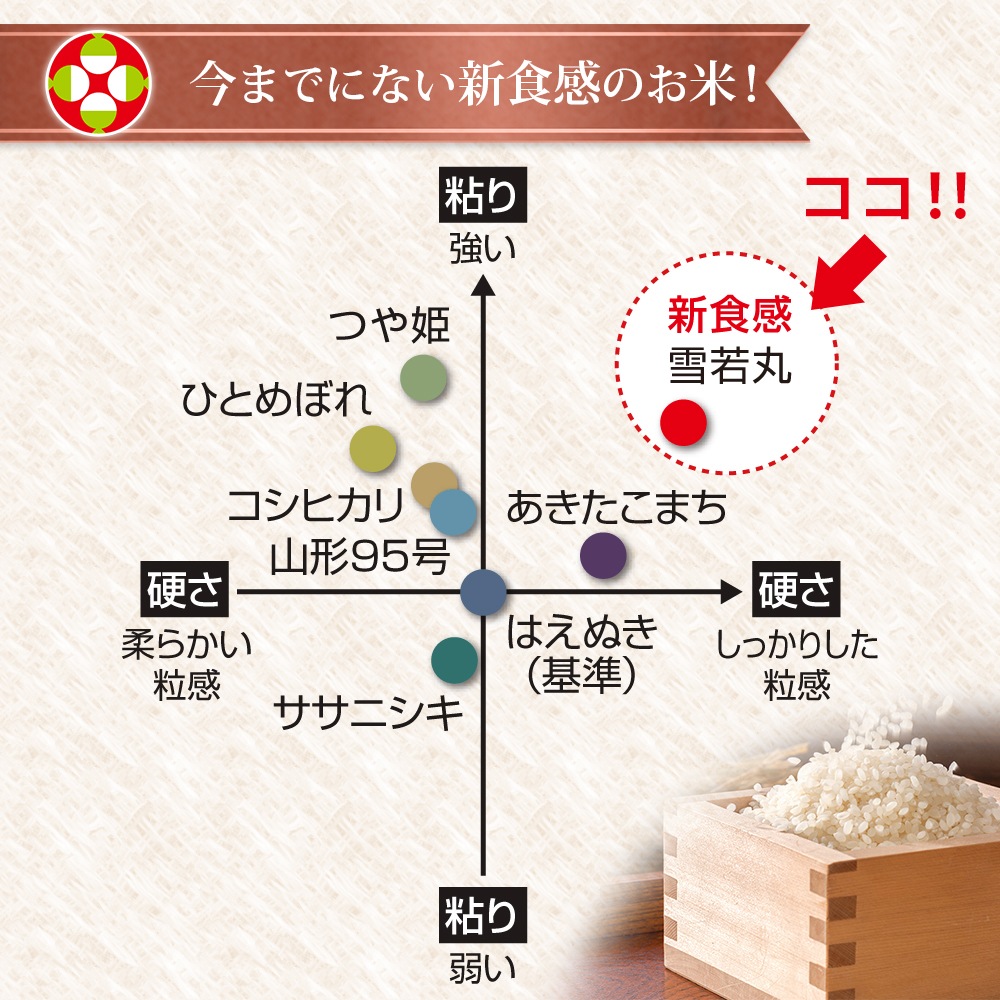 無農薬 雪若丸 5kg 山形県産 令和7年産
