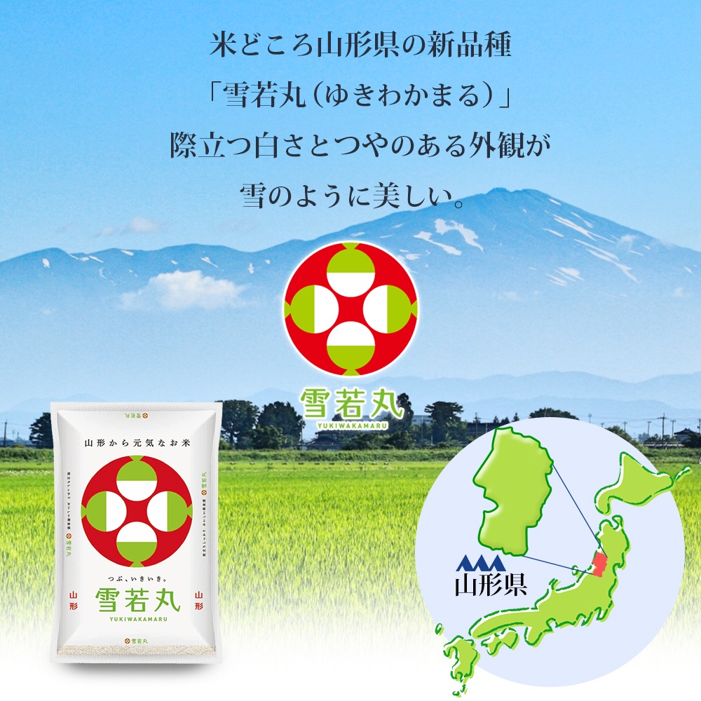 無農薬 雪若丸 10kg (5kg×2袋) 山形県産 令和7年産