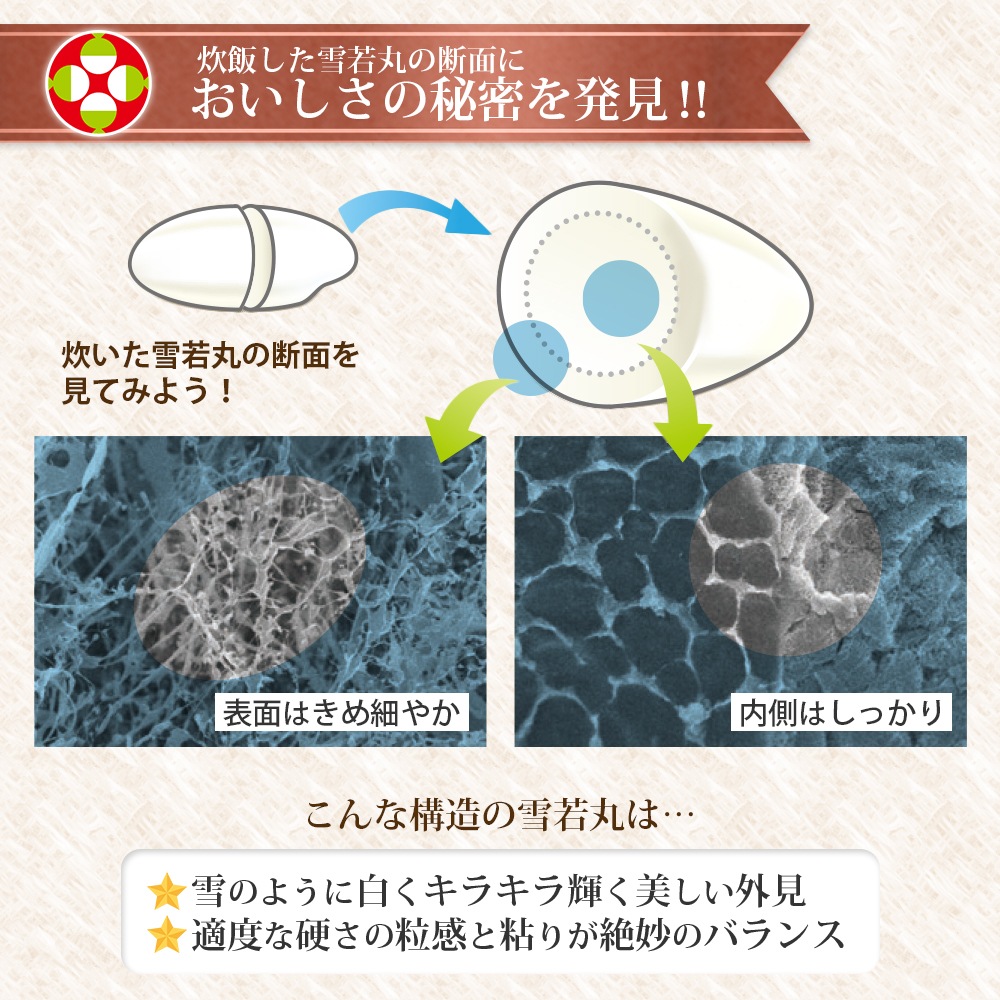 無農薬 雪若丸 10kg (5kg×2袋) 山形県産 令和7年産